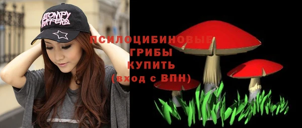 сатива Алексеевка