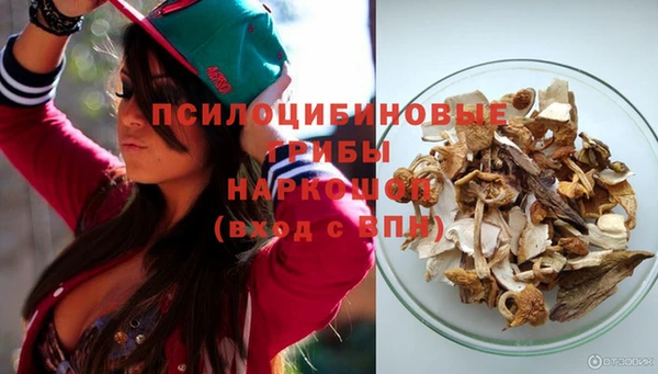 сатива Алексеевка