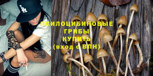 мяу мяу мука Алексин